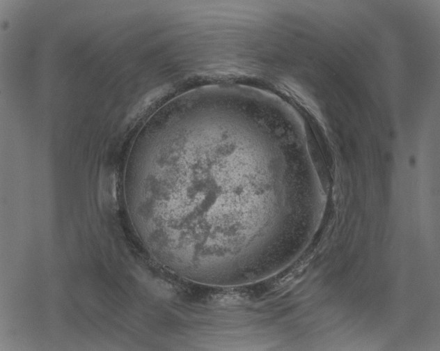 X0000068850115200605081225