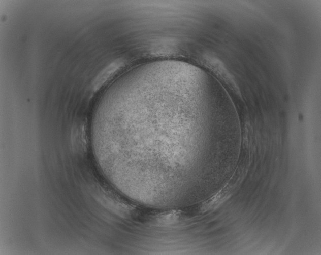 X0000068850116200605081225