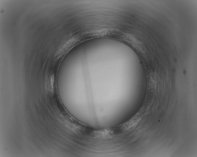 X0000068850118200605081225