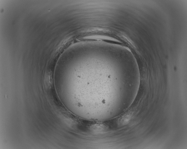 X0000068850119200605081225