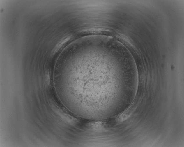 X0000068850120200605081225