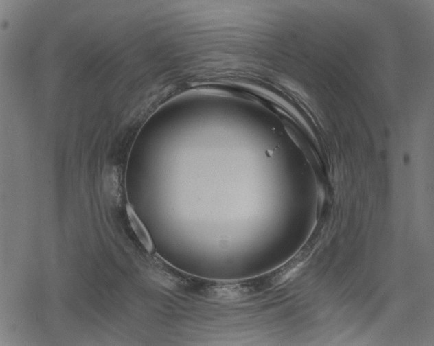 X0000068850121200605081225