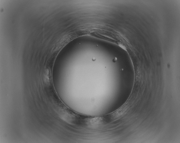 X0000068850122200605081225