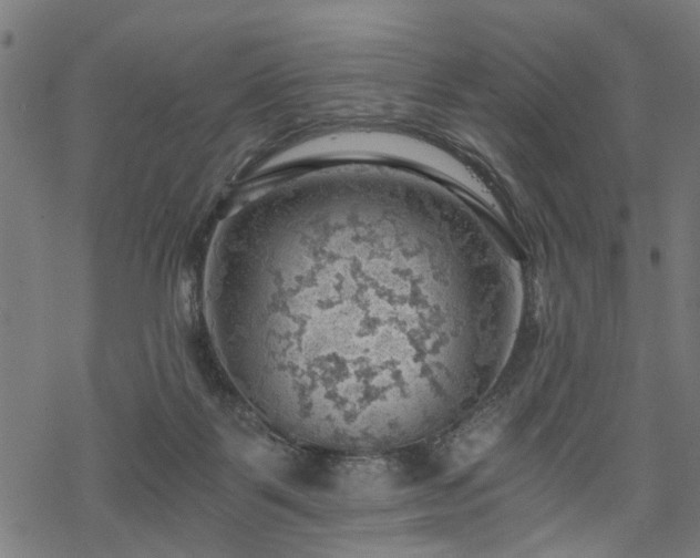 X0000068850123200605081225