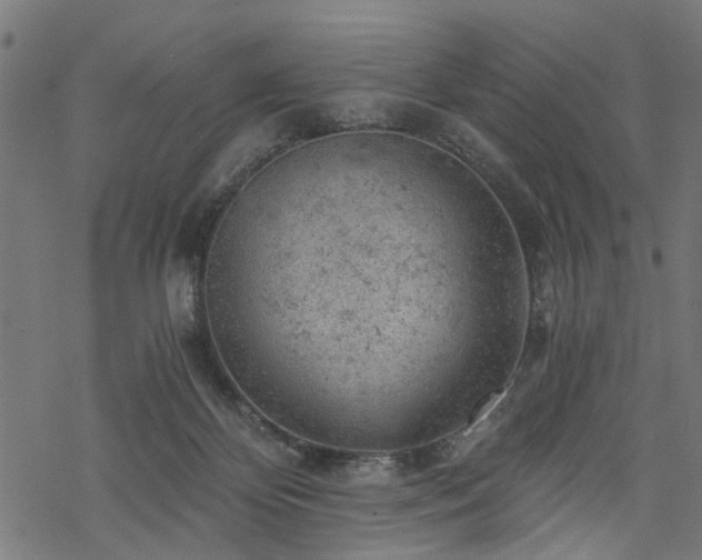 X0000068850124200605081225