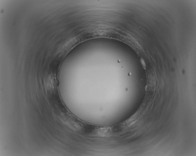 X0000068850126200605081225