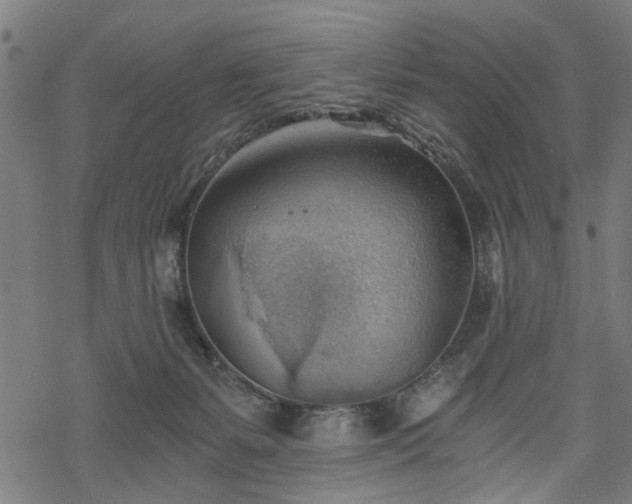 X0000068850127200605081225