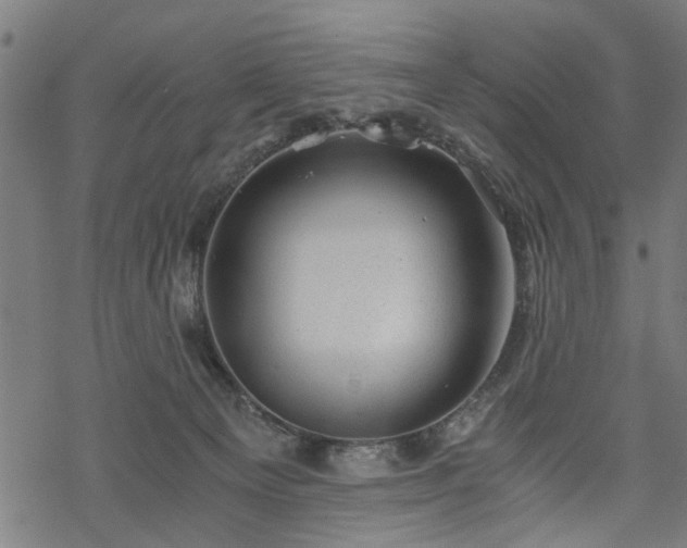 X0000068850129200605081225