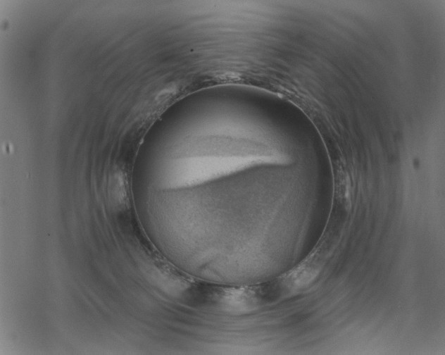 X0000068850130200605081225