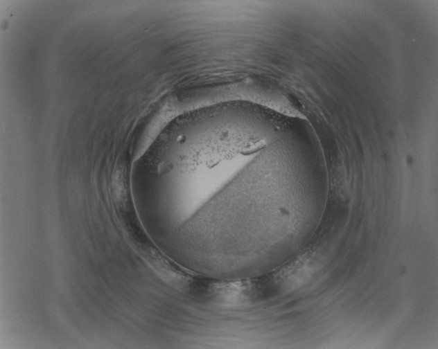 X0000068850131200605081225