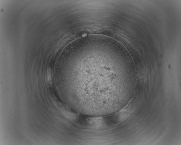 X0000068850132200605081225