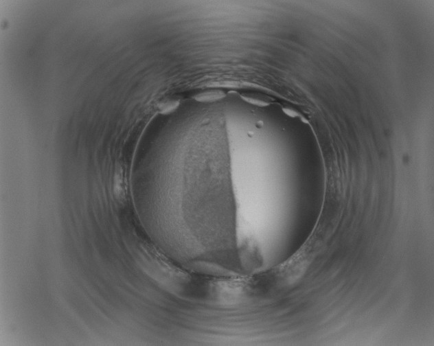 X0000068850134200605081224