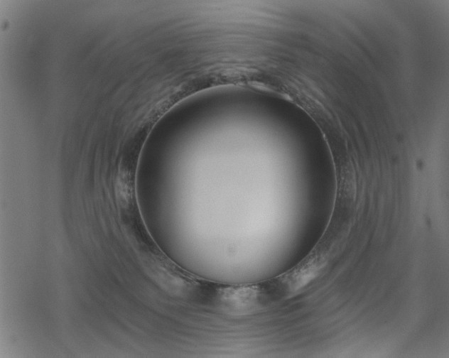 X0000068850135200605081224