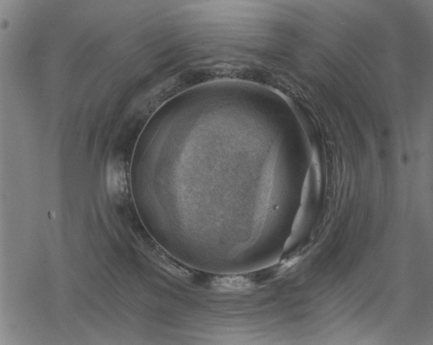 X0000068850137200605081224