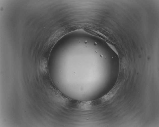 X0000068850138200605081224