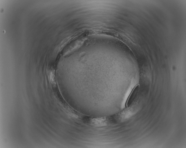 X0000068850139200605081224