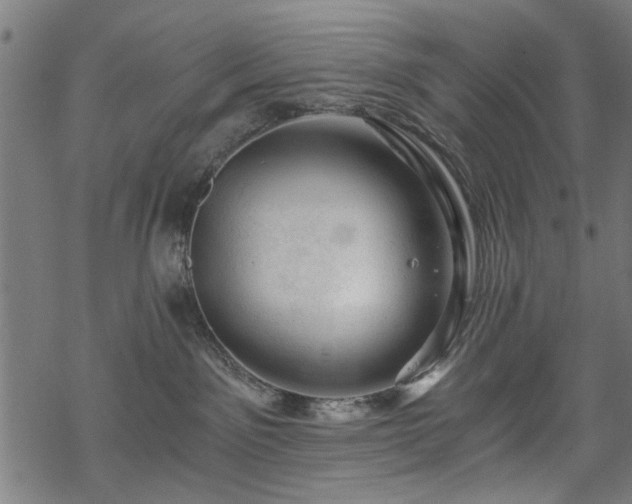 X0000068850141200605081224