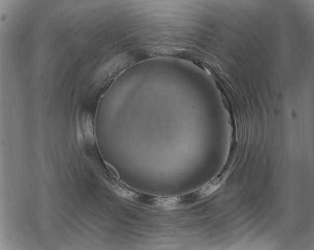 X0000068850143200605081224