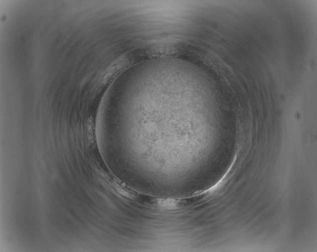 X0000068850144200605081224