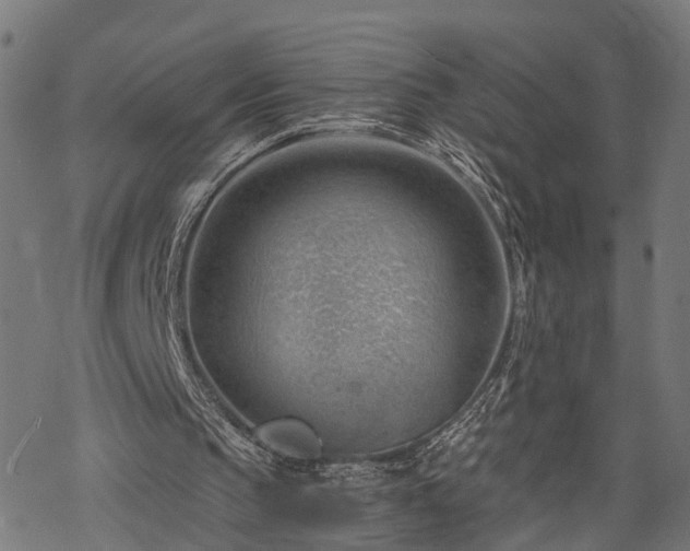 X0000068850145200605081224