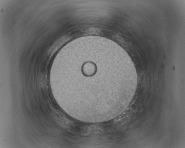 X0000068850146200605081224