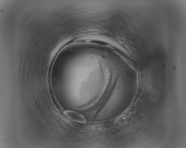 X0000068850147200605081224