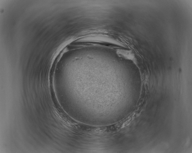 X0000068850148200605081224