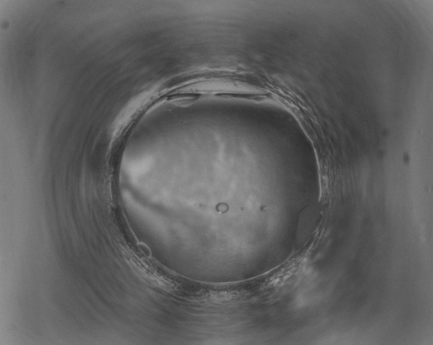 X0000068850149200605081224