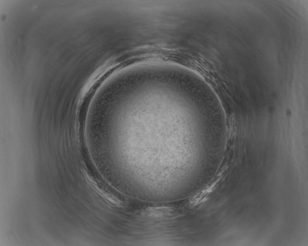 X0000068850150200605081224