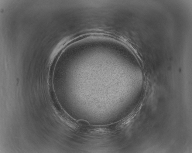 X0000068850151200605081224