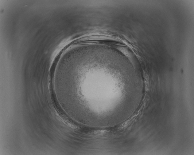 X0000068850152200605081224