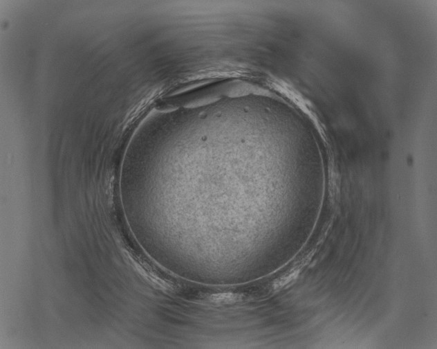 X0000068850153200605081224