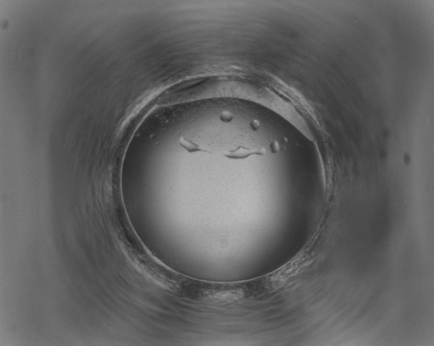 X0000068850155200605081224