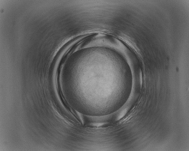 X0000068850156200605081224