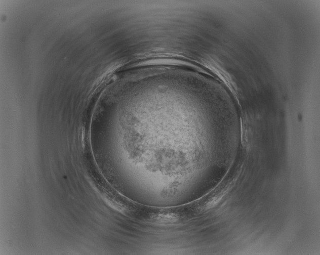 X0000068850157200605081224