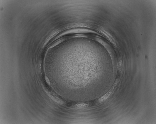 X0000068850158200605081224