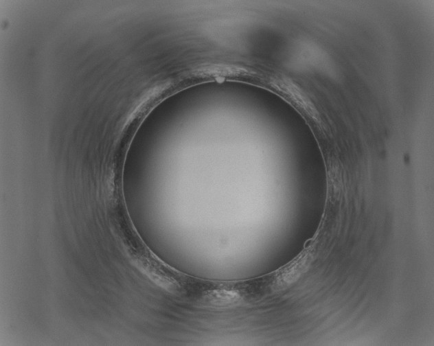 X0000068850159200605081224