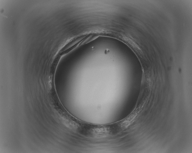 X0000068850160200605081224