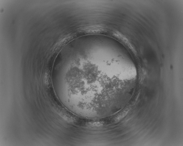 X0000068850161200605081224