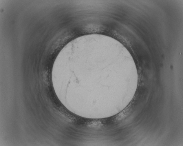 X0000068850162200605081224