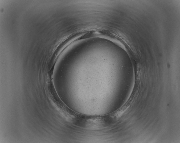 X0000068850164200605081224