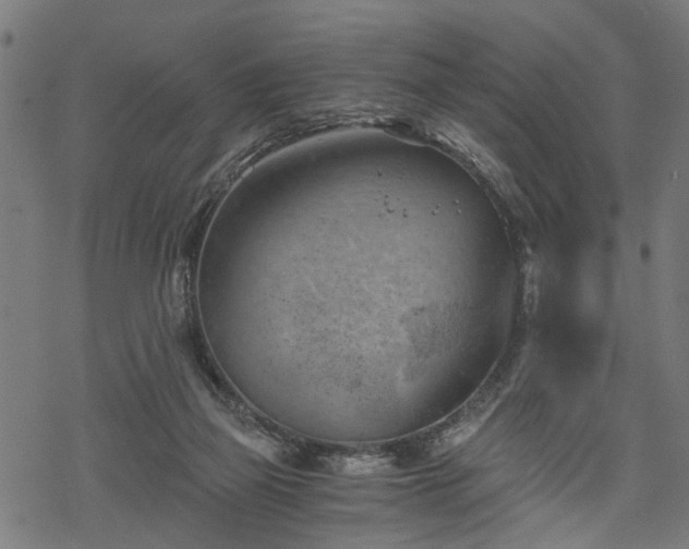 X0000068850165200605081224