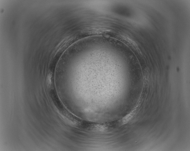 X0000068850166200605081224