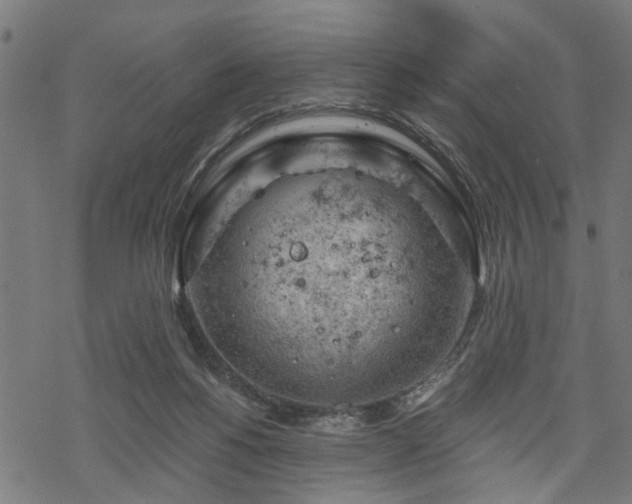 X0000068850168200605081224