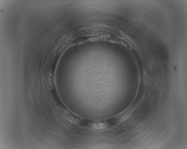 X0000068850169200605081224