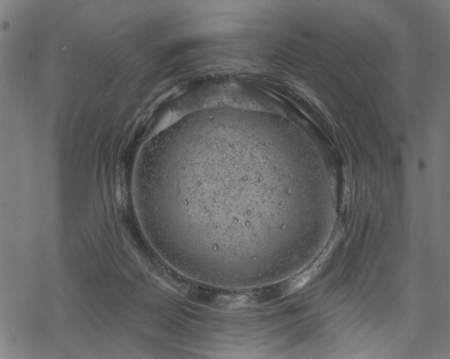 X0000068850170200605081224