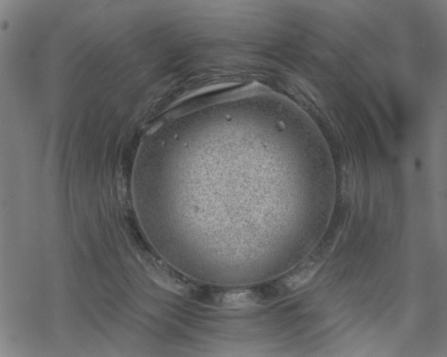 X0000068850173200605081224