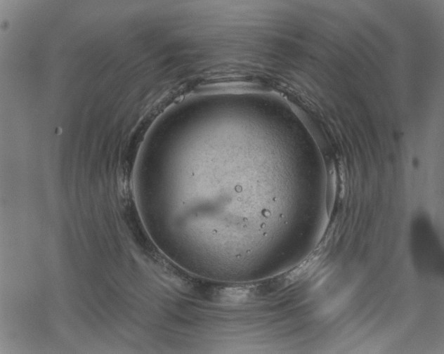 X0000068850176200605081224