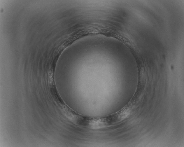 X0000068850177200605081224