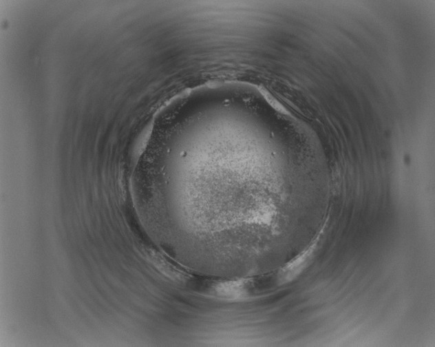 X0000068850178200605081224